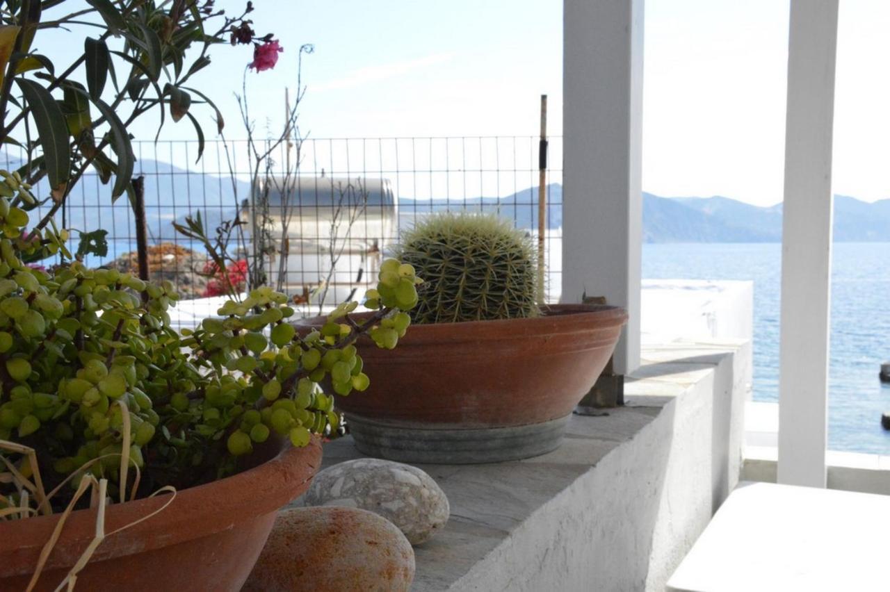Вилла Thalassophile Eco House Plaka  Экстерьер фото